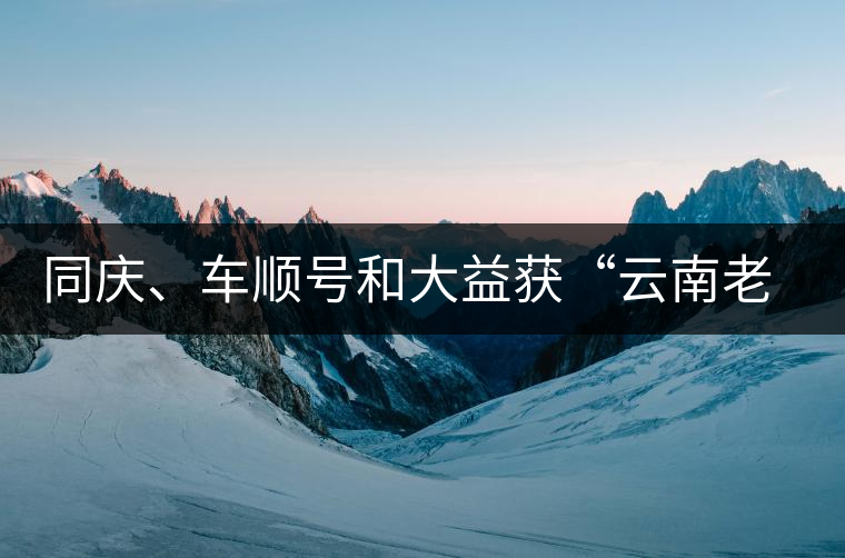 同慶、車順號和大益獲“云南老字號”稱號