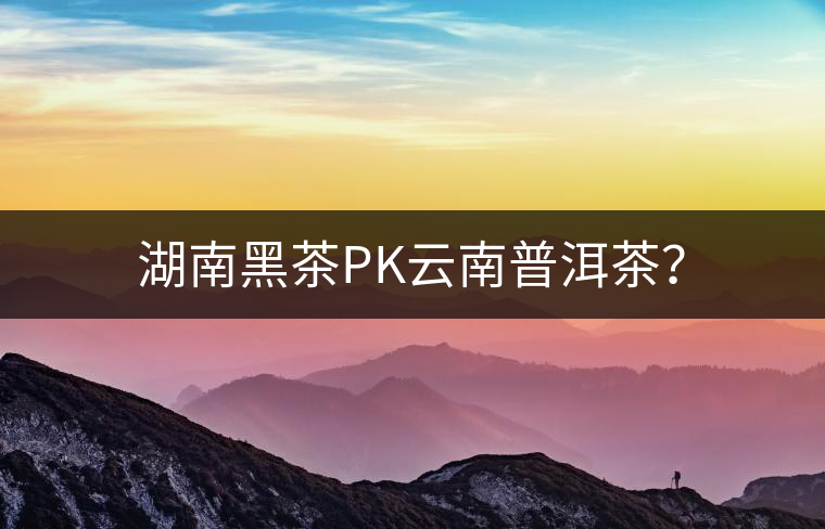 湖南黑茶PK云南普洱茶？