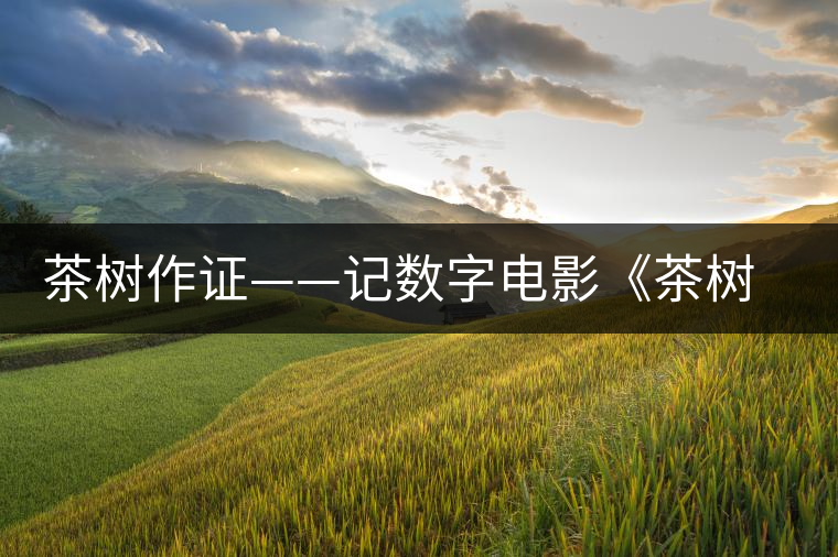 茶樹(shù)作證——記數(shù)字電影《茶樹(shù)下》的拍攝 茶樹(shù)作證——記數(shù)字電影《茶樹(shù)下》的拍攝