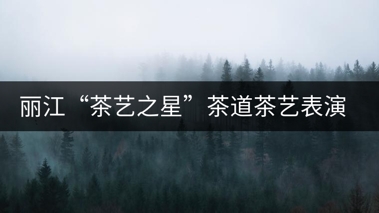 麗江“茶藝之星”茶道茶藝表演招商