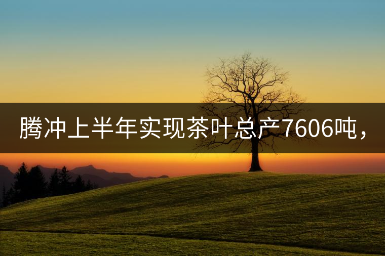 騰沖上半年實現(xiàn)茶葉總產(chǎn)7606噸，總產(chǎn)值5.58億元
