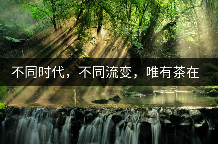 不同時(shí)代，不同流變，唯有茶在傳承