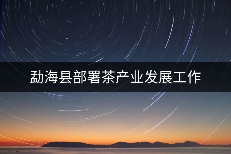 勐?？h部署茶產(chǎn)業(yè)發(fā)展工作