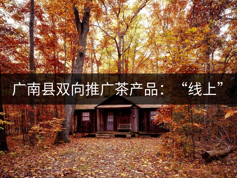 廣南縣雙向推廣茶產(chǎn)品：“線上”銷售茶葉已有100多家，“線下”銷售額已達(dá)百萬