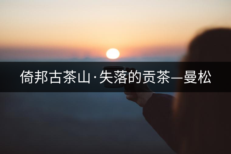 倚邦古茶山·失落的貢茶—曼松