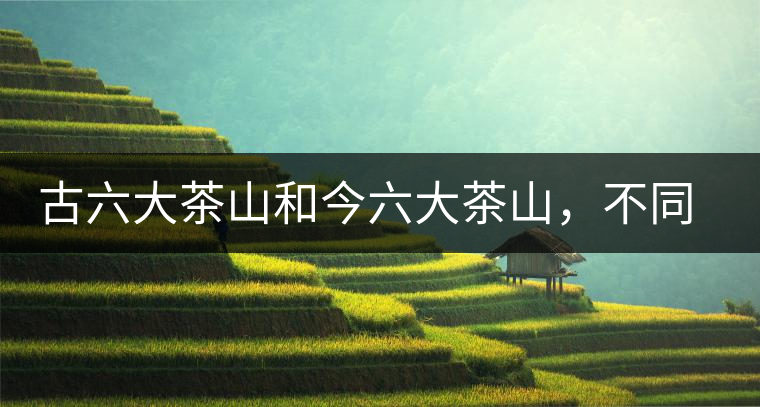 古六大茶山和今六大茶山，不同普洱茶品質(zhì)