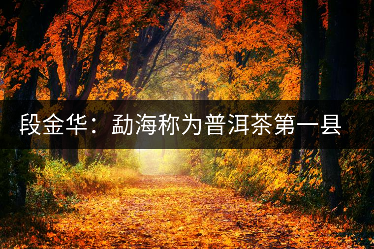 段金華：勐海稱(chēng)為普洱茶第一縣的六大理由