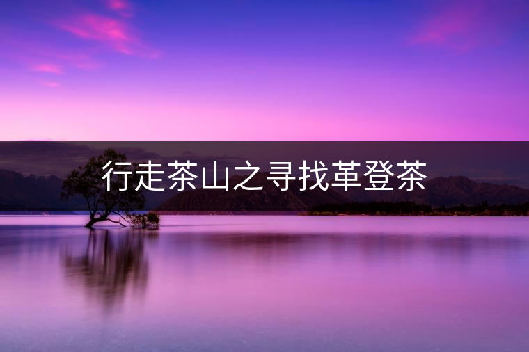 行走茶山之尋找革登茶