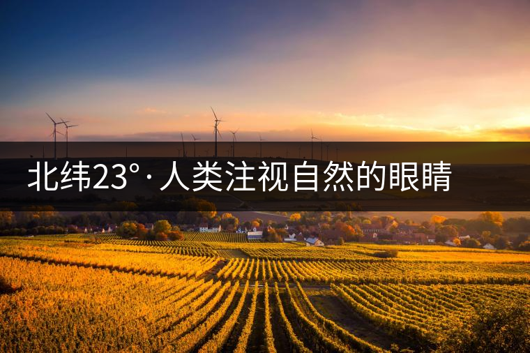 北緯23°·人類(lèi)注視自然的眼睛——探訪中科院哀牢山生態(tài)站