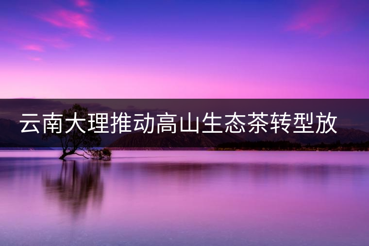 云南大理推動高山生態(tài)茶轉型放大產(chǎn)業(yè)優(yōu)勢