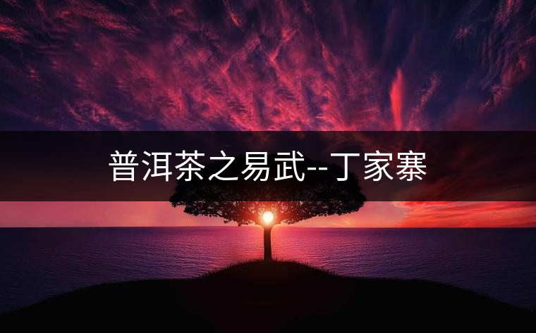 普洱茶之易武--丁家寨 普洱茶之易武--丁家寨