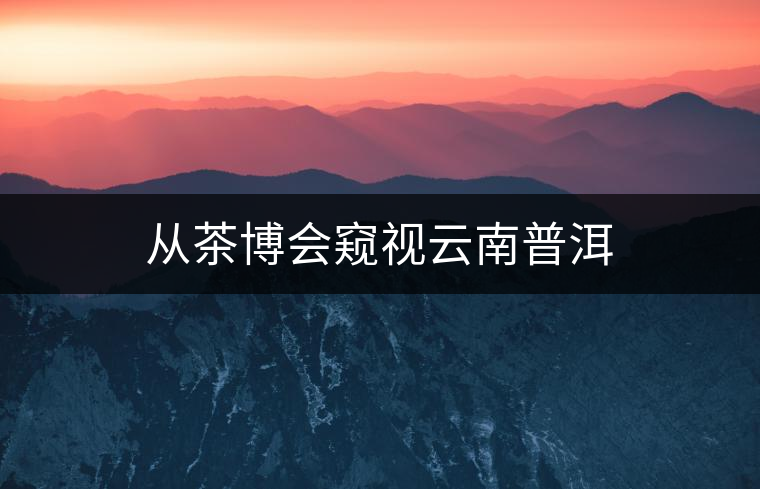 從茶博會(huì)窺視云南普洱