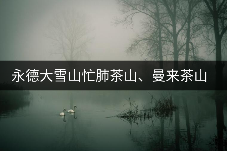 永德大雪山忙肺茶山、曼來茶山、放牛場茶園的生態(tài)指數(shù)