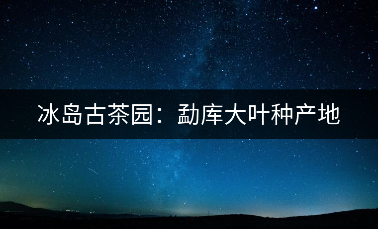 冰島古茶園：勐庫大葉種產(chǎn)地