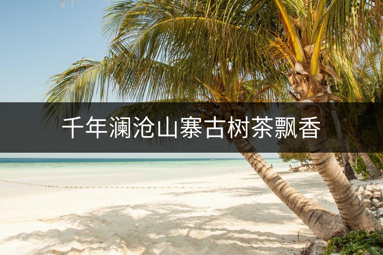 千年瀾滄山寨古樹茶飄香