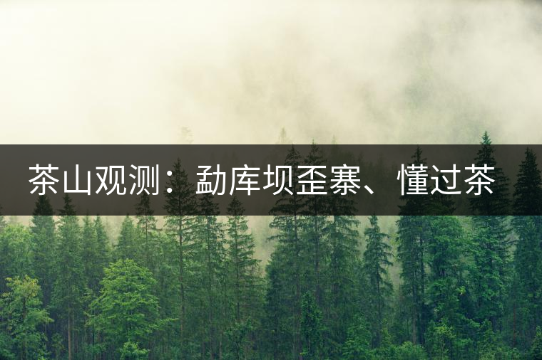 茶山觀測：勐庫壩歪寨、懂過茶山、大戶寨等茶山的生態(tài)指數(shù)
