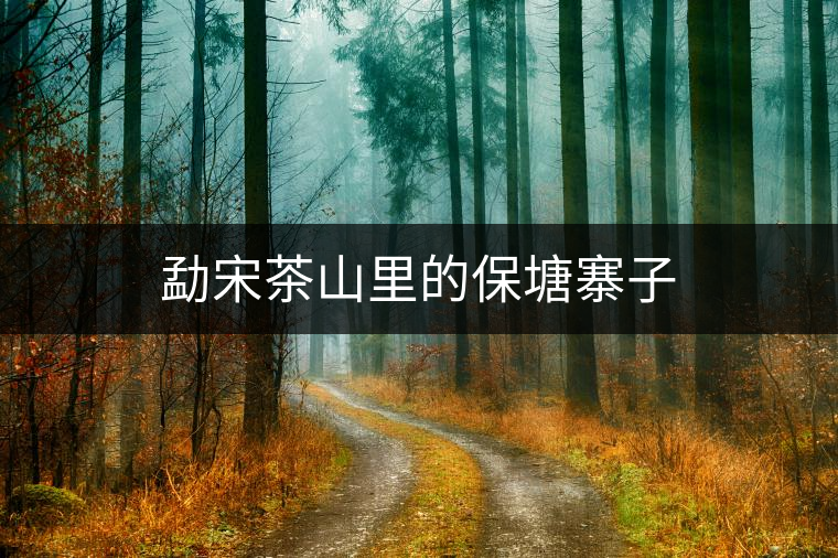 勐宋茶山里的保塘寨子