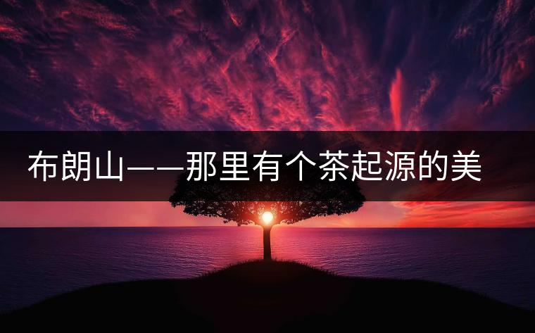 布朗山——那里有個(gè)茶起源的美麗傳說(shuō)