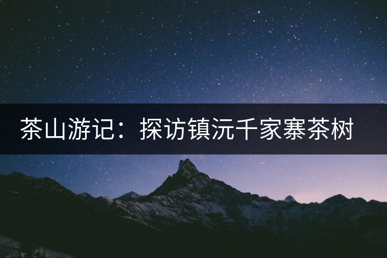茶山游記：探訪鎮(zhèn)沅千家寨茶樹王