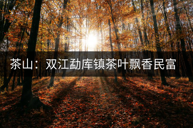 茶山：雙江勐庫鎮(zhèn)茶葉飄香民富裕