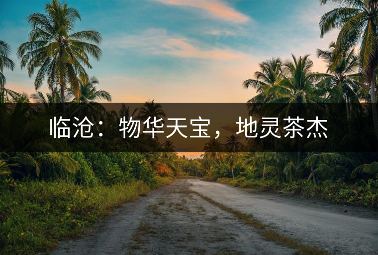 臨滄：物華天寶，地靈茶杰