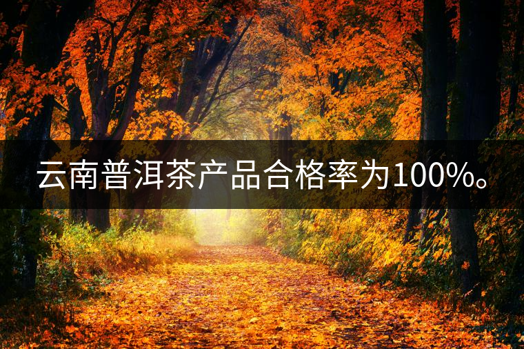 云南普洱茶產(chǎn)品合格率為100%。