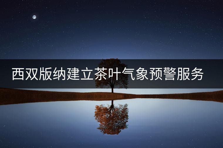 西雙版納建立茶葉氣象預警服務體系 西雙版納建立茶葉氣象預警服務體系