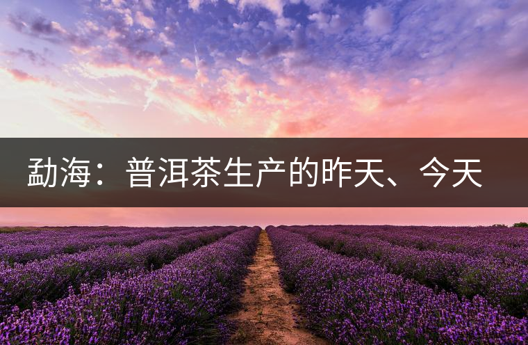 勐海：普洱茶生產(chǎn)的昨天、今天、明天