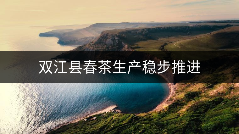 雙江縣春茶生產(chǎn)穩(wěn)步推進