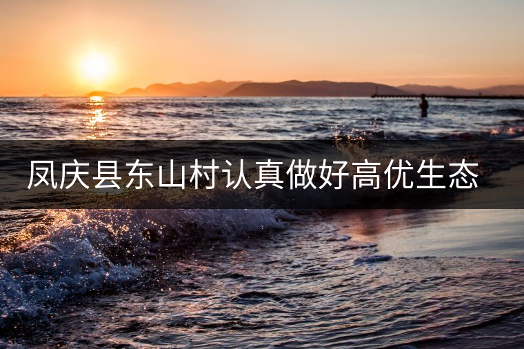 鳳慶縣東山村認(rèn)真做好高優(yōu)生態(tài)茶園中耕管理