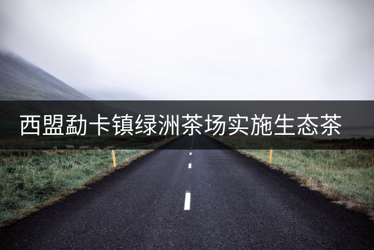 西盟勐卡鎮(zhèn)綠洲茶場(chǎng)實(shí)施生態(tài)茶園改造見(jiàn)效益