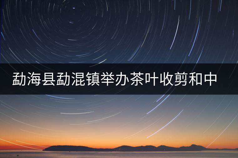 勐?？h勐混鎮(zhèn)舉辦茶葉收剪和中耕培土現(xiàn)場培訓會