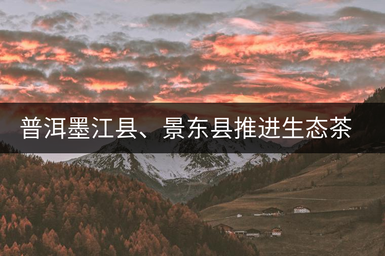 普洱墨江縣、景東縣推進(jìn)生態(tài)茶園建設(shè)
