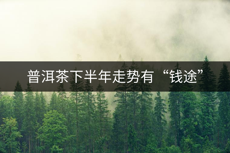 普洱茶下半年走勢有“錢途” 普洱茶下半年走勢有“錢途”