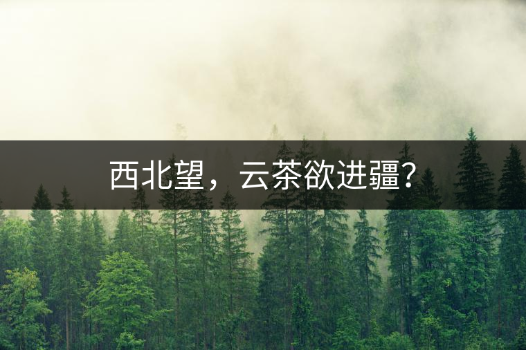 西北望，云茶欲進(jìn)疆？