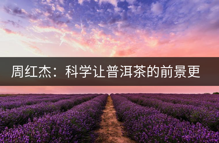 周紅杰:科學讓普洱茶的前景更明朗 周紅杰:科學讓普洱茶的前景更明朗