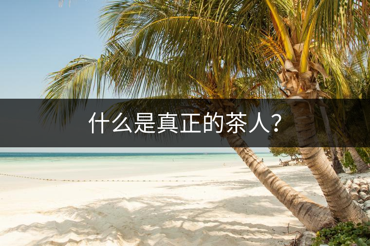 什么是真正的茶人？