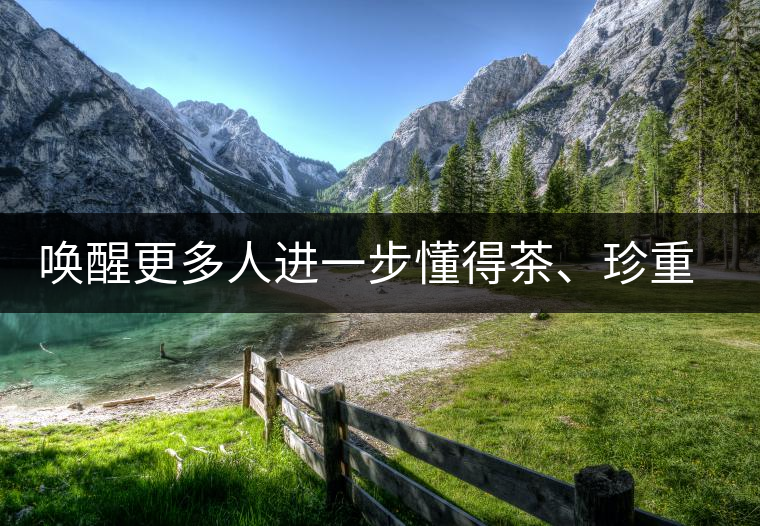 喚醒更多人進(jìn)一步懂得茶、珍重茶、享受茶