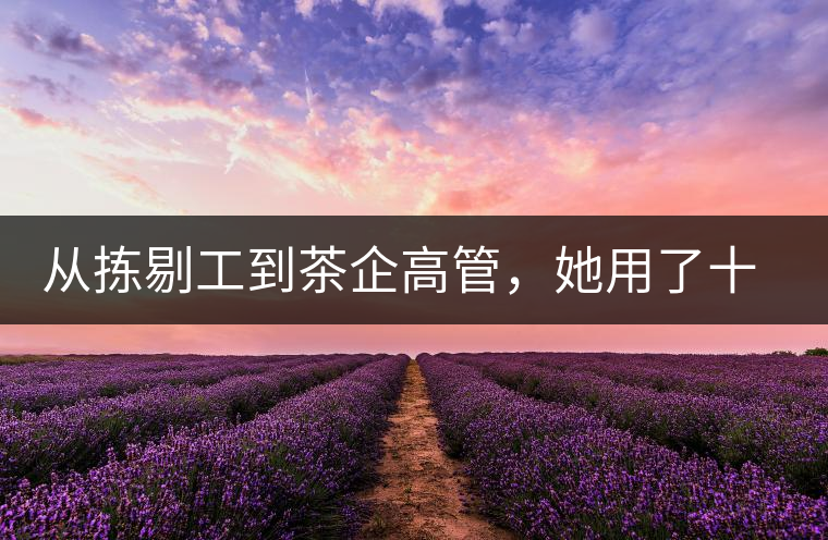 從揀剔工到茶企高管，她用了十年時間