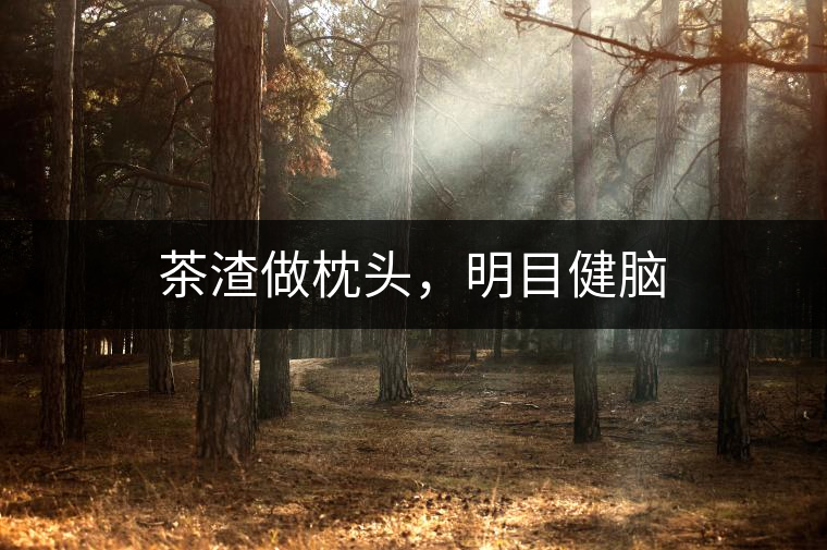 茶渣做枕頭，明目健腦