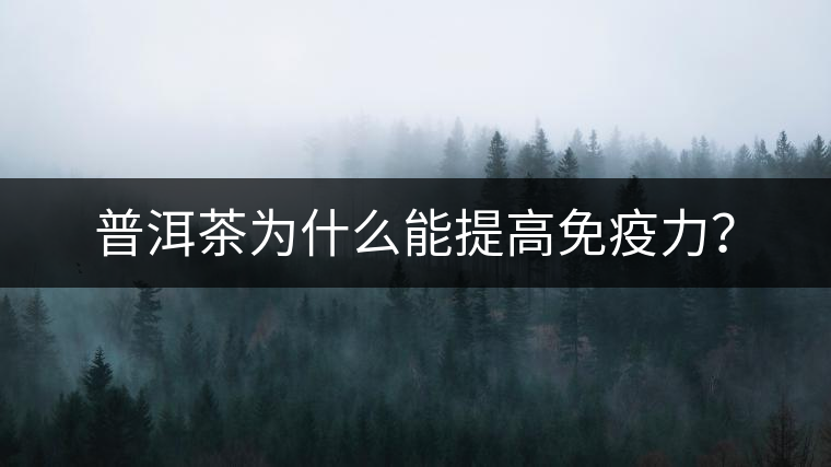 普洱茶為什么能提高免疫力？