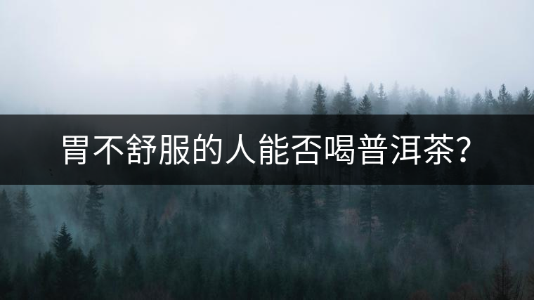 胃不舒服的人能否喝普洱茶？