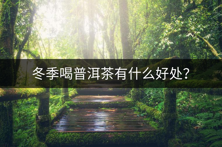 冬季喝普洱茶有什么好處？