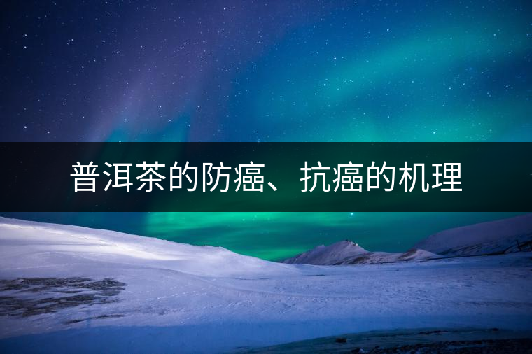 普洱茶的防癌、抗癌的機(jī)理