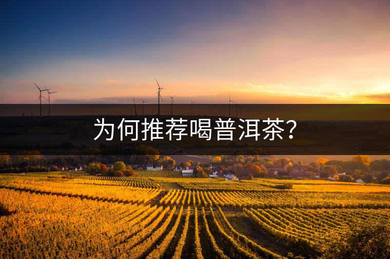 為何推薦喝普洱茶？