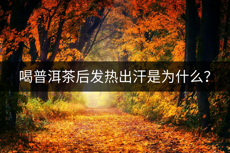 喝普洱茶后發(fā)熱出汗是為什么？