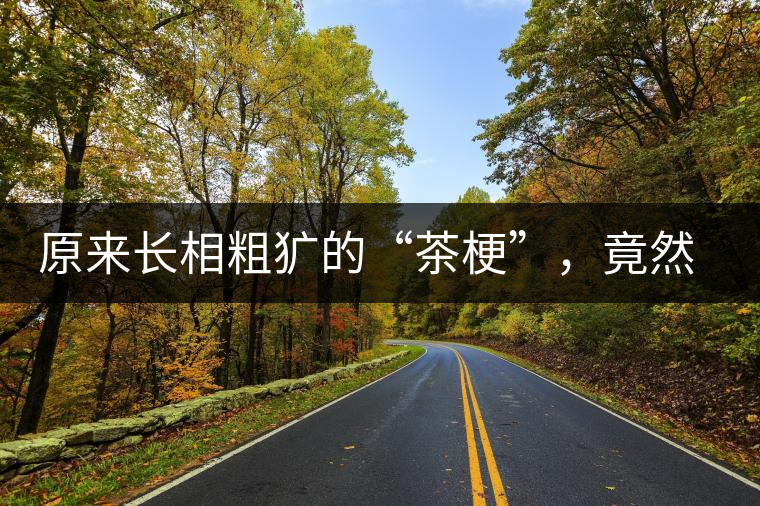 原來長相粗獷的“茶?！?，竟然還有這么多的作用