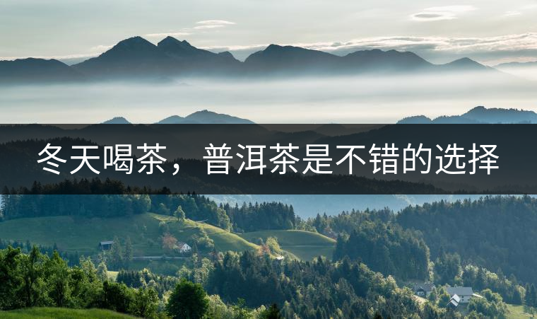 冬天喝茶，普洱茶是不錯(cuò)的選擇