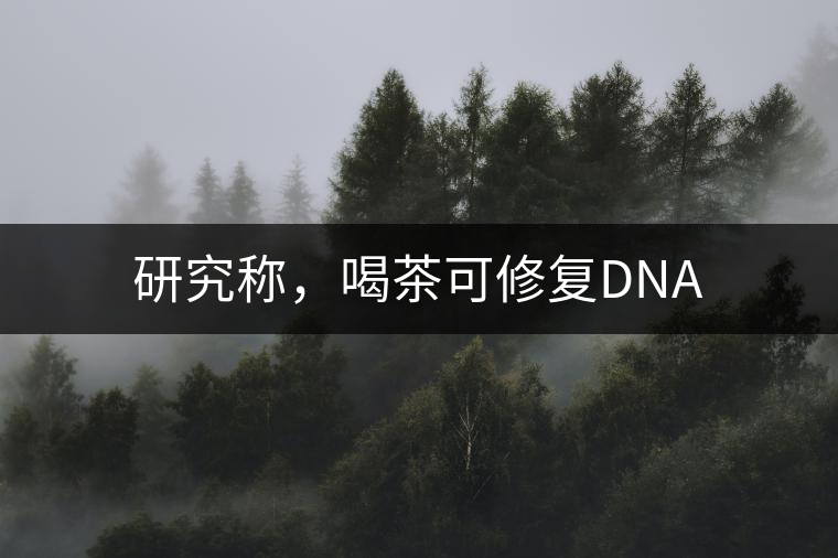 研究稱,喝茶可修復(fù)DNA 研究稱,喝茶可修復(fù)DNA