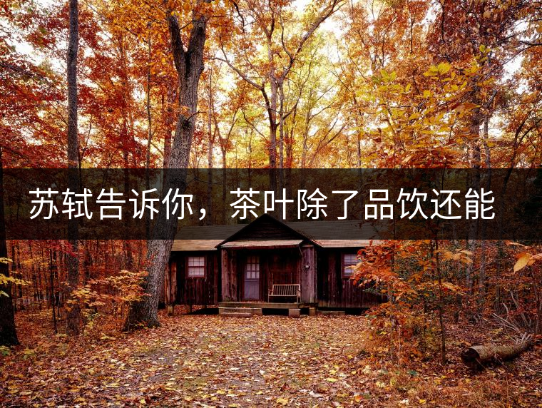 蘇軾告訴你，茶葉除了品飲還能做什么？